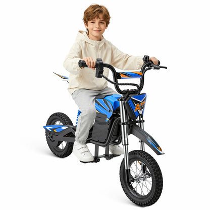 iScooter A12 (EU) Electric Bike
