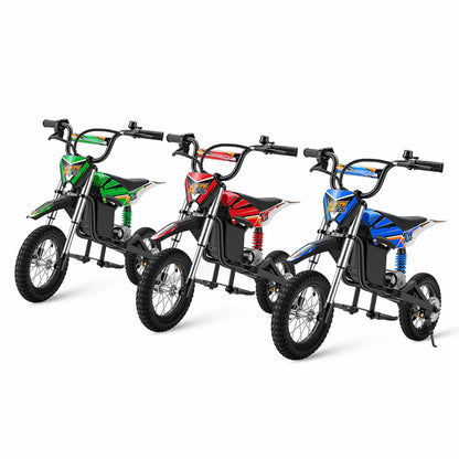 iScooter A12 (EU) Electric Bike